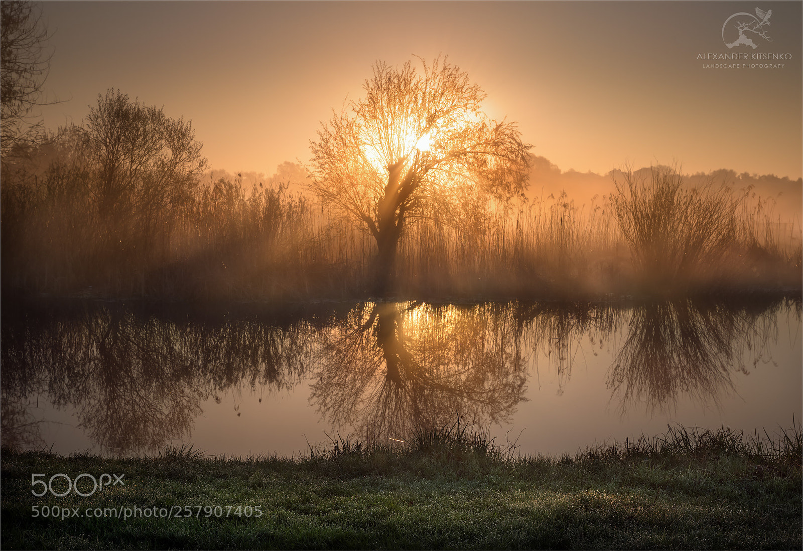Canon EOS 5D Mark IV sample photo. A fabulous dawn on photography