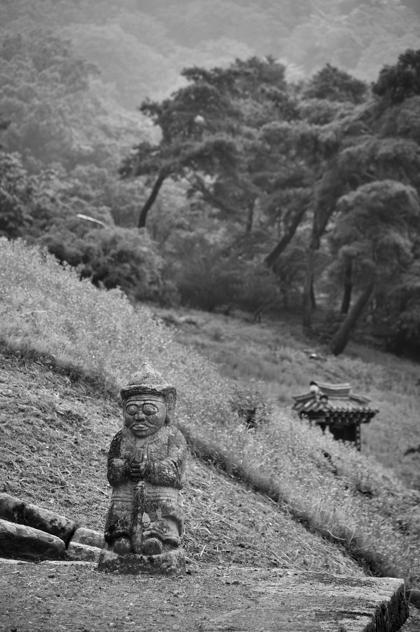 Nikon AF-S Nikkor 24-120mm F4G ED VR sample photo. A stone statue photography