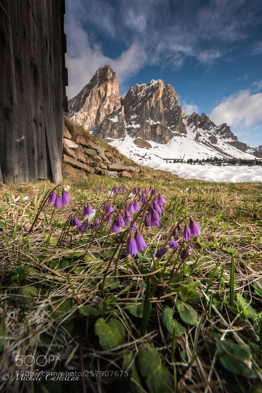 Nikon D810 sample photo. All'ombra del sass de photography
