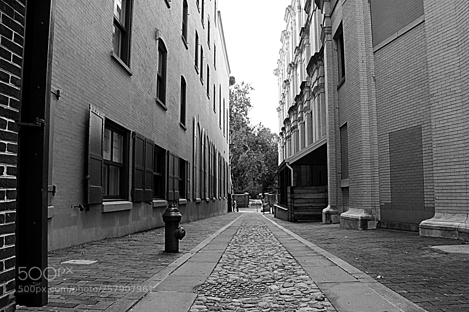 Canon EOS 1100D (EOS Rebel T3 / EOS Kiss X50) sample photo. Narrow alley. photography