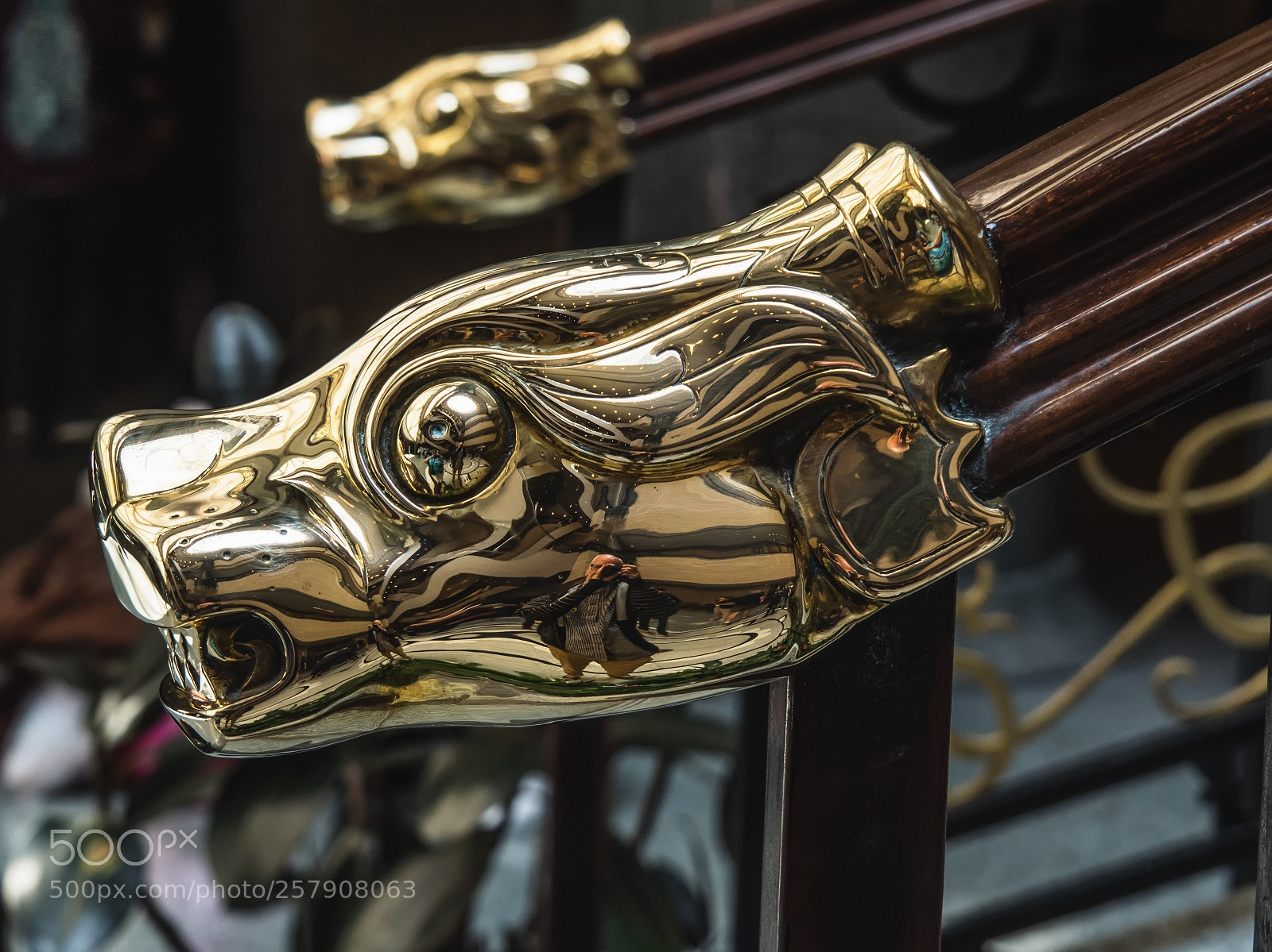 Olympus OM-D E-M1 sample photo. Here be dragons photography