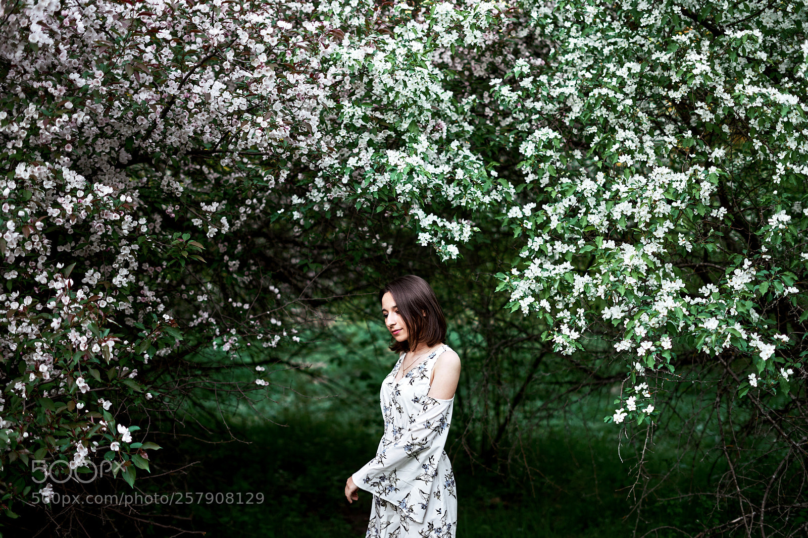 Sony a7 sample photo. *** photography