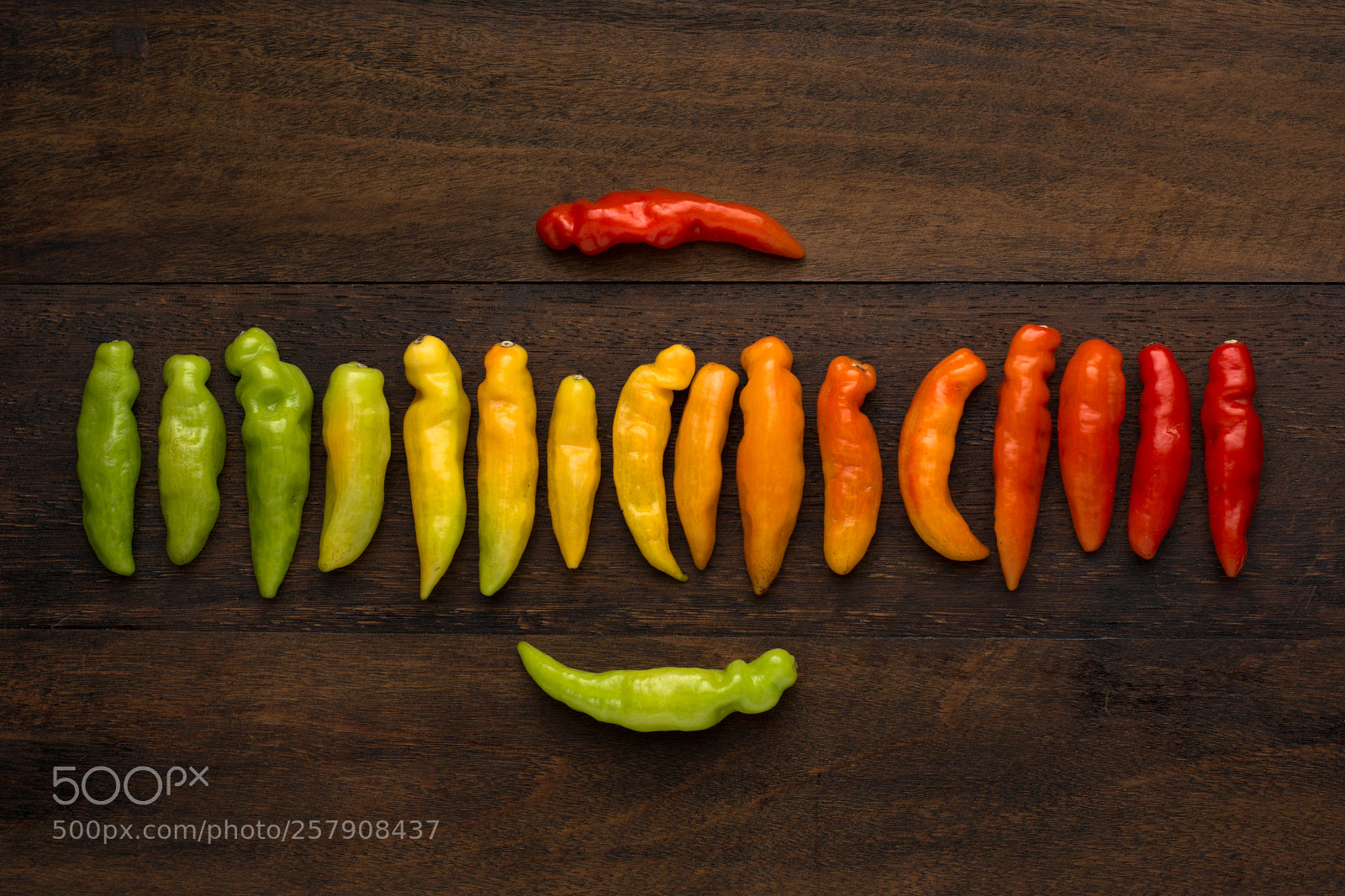 Nikon D5200 sample photo. Gradient pepper photography
