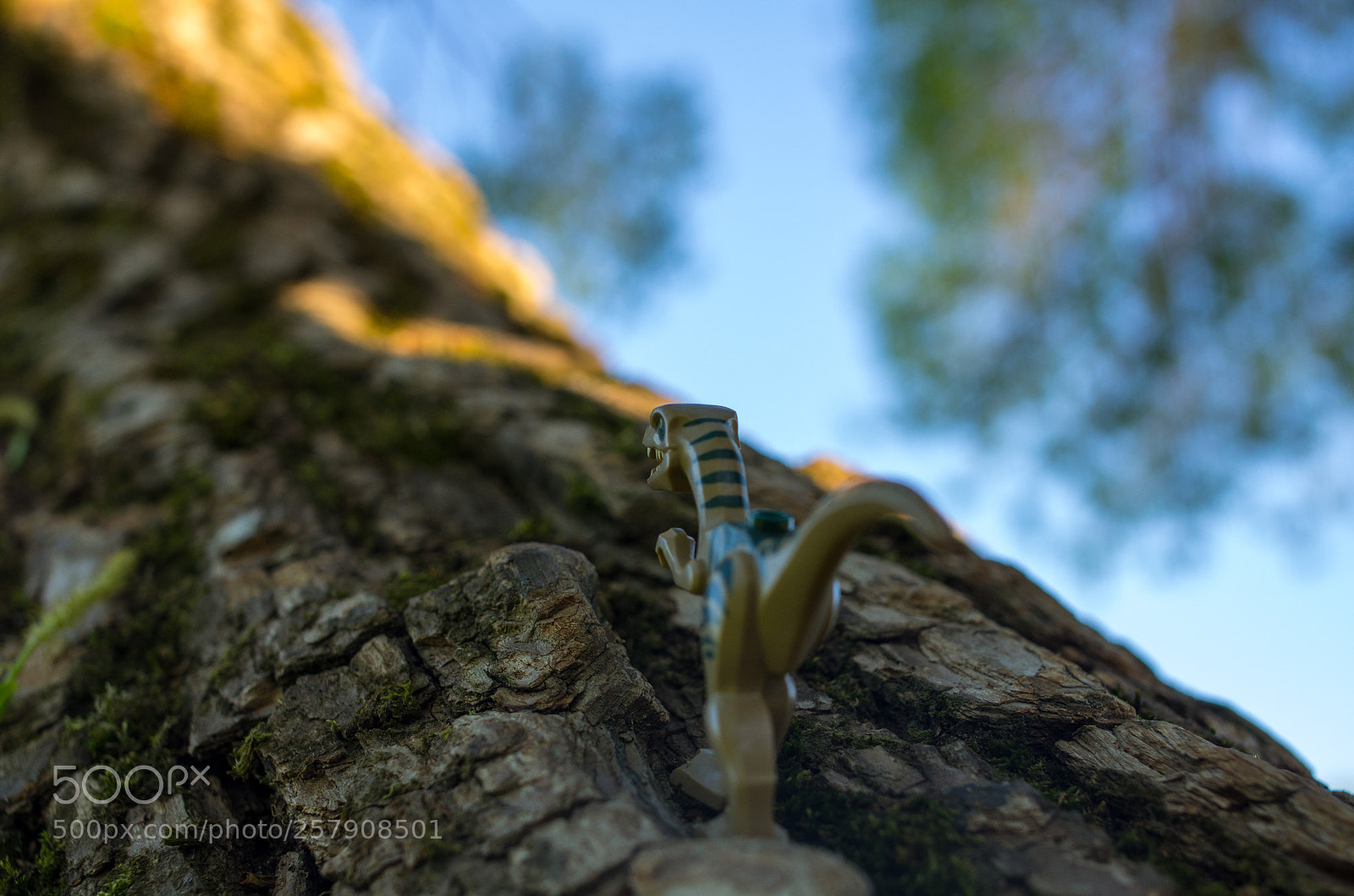 Pentax K-5 sample photo. Towards the dream photography