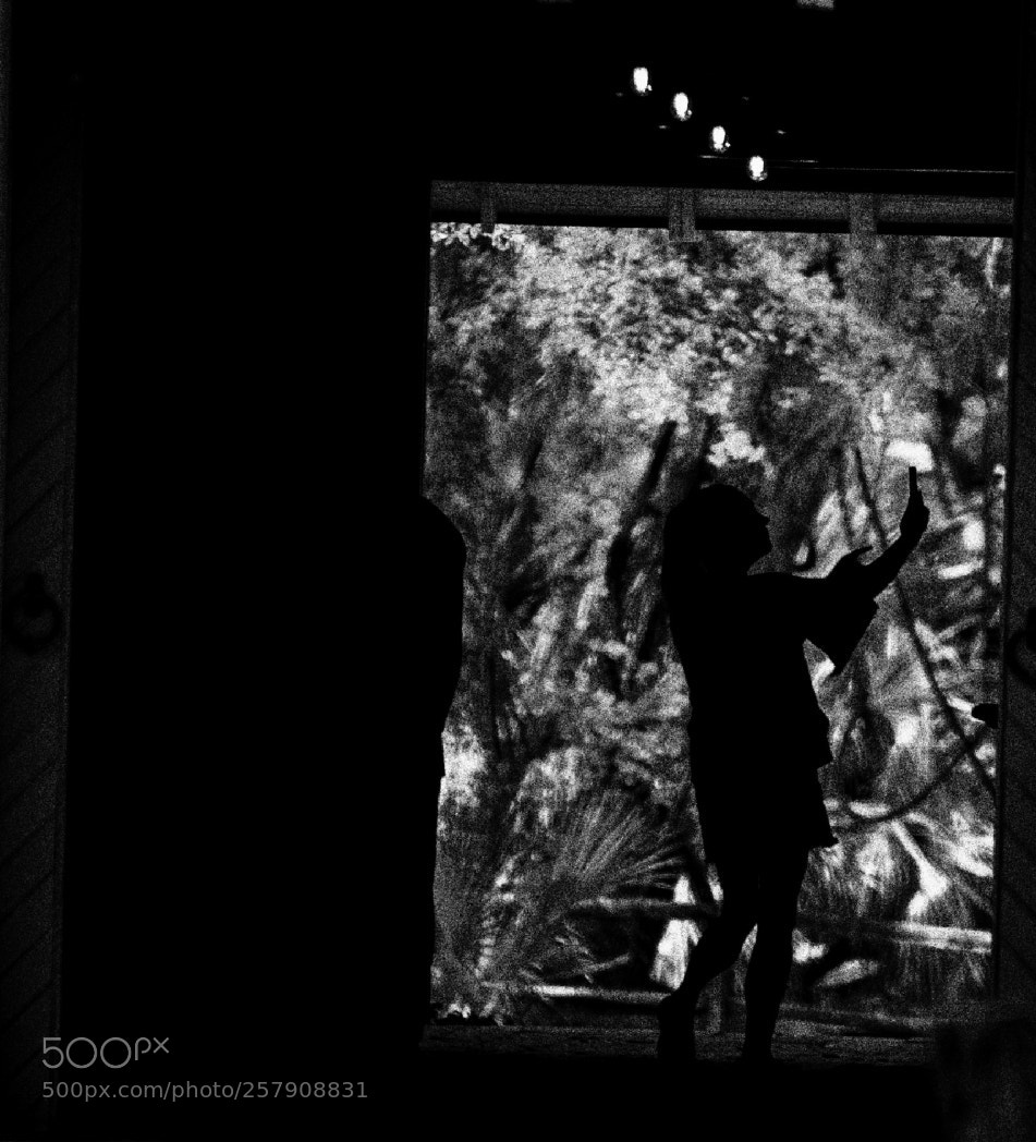 Nikon D810 sample photo. Silhouette photography