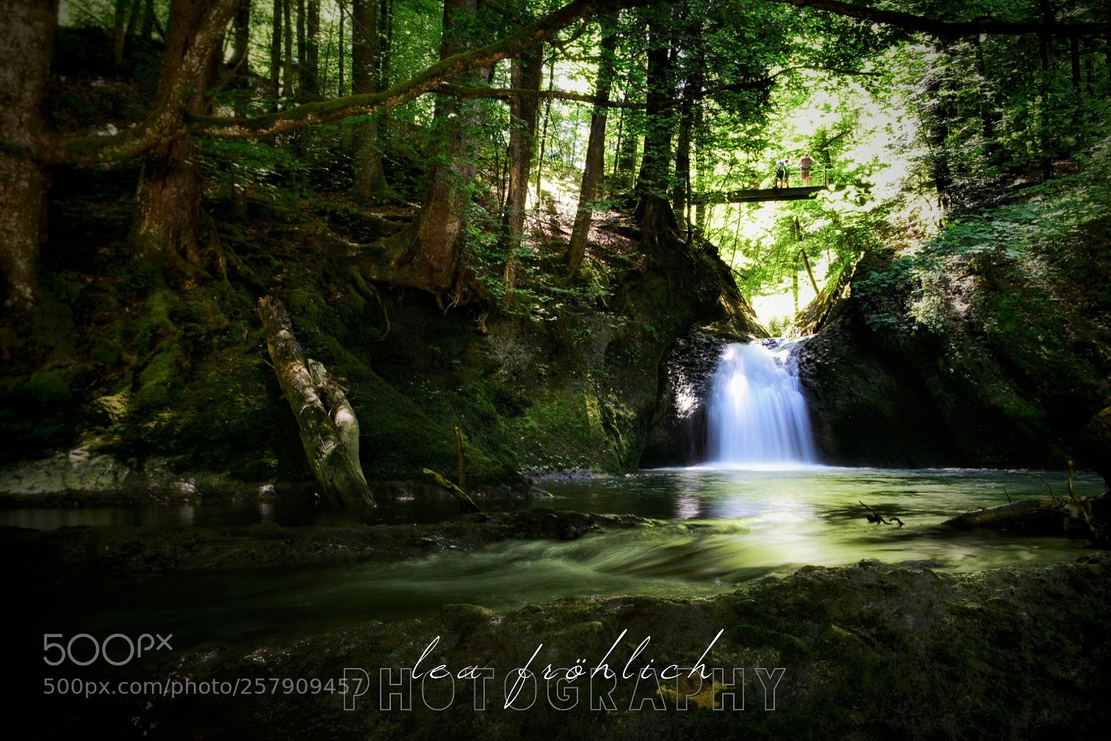 Nikon D5300 sample photo. Falling slowly photography