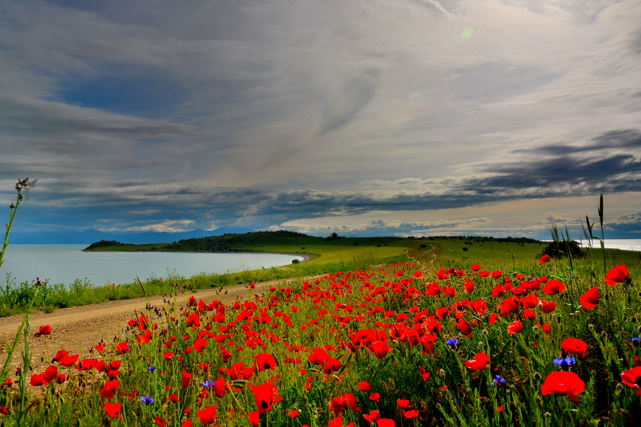 Nikon D7100 + Sigma 17-70mm F2.8-4 DC Macro OS HSM | C sample photo. çarpanak ısland photography