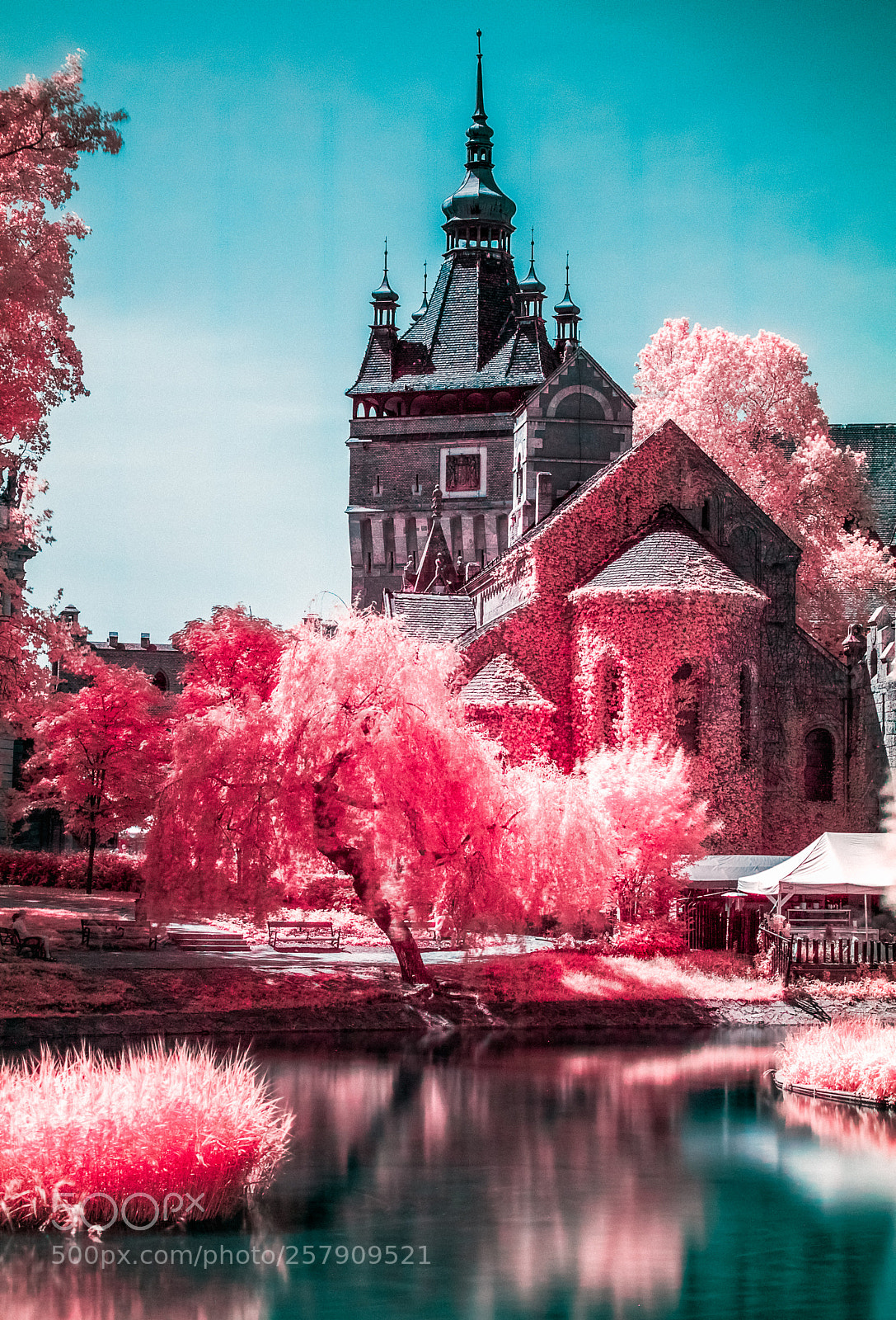 Canon EOS 750D (EOS Rebel T6i / EOS Kiss X8i) sample photo. Infrared spring photography
