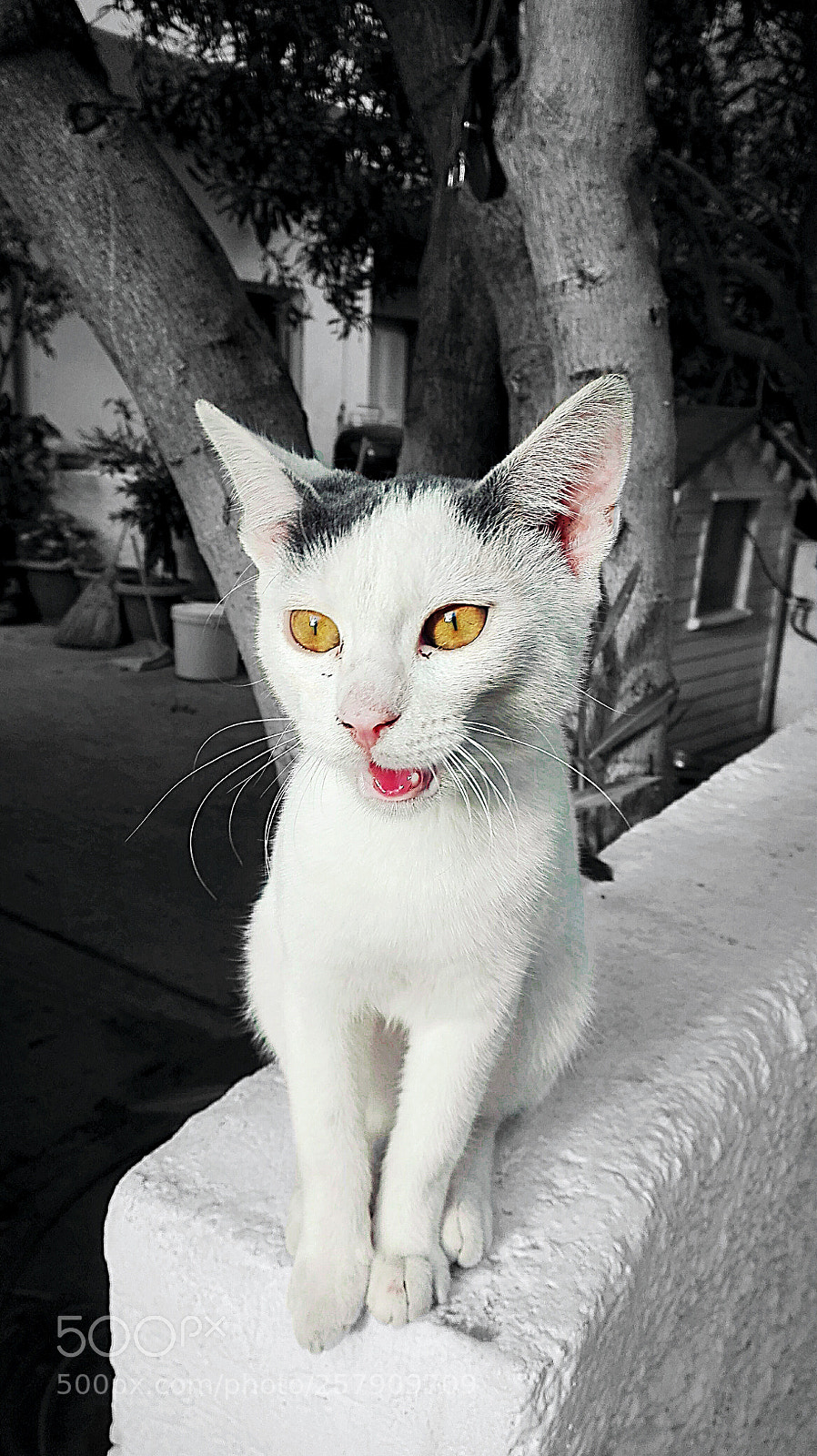 HUAWEI P8 Lite sample photo. Untitled photography