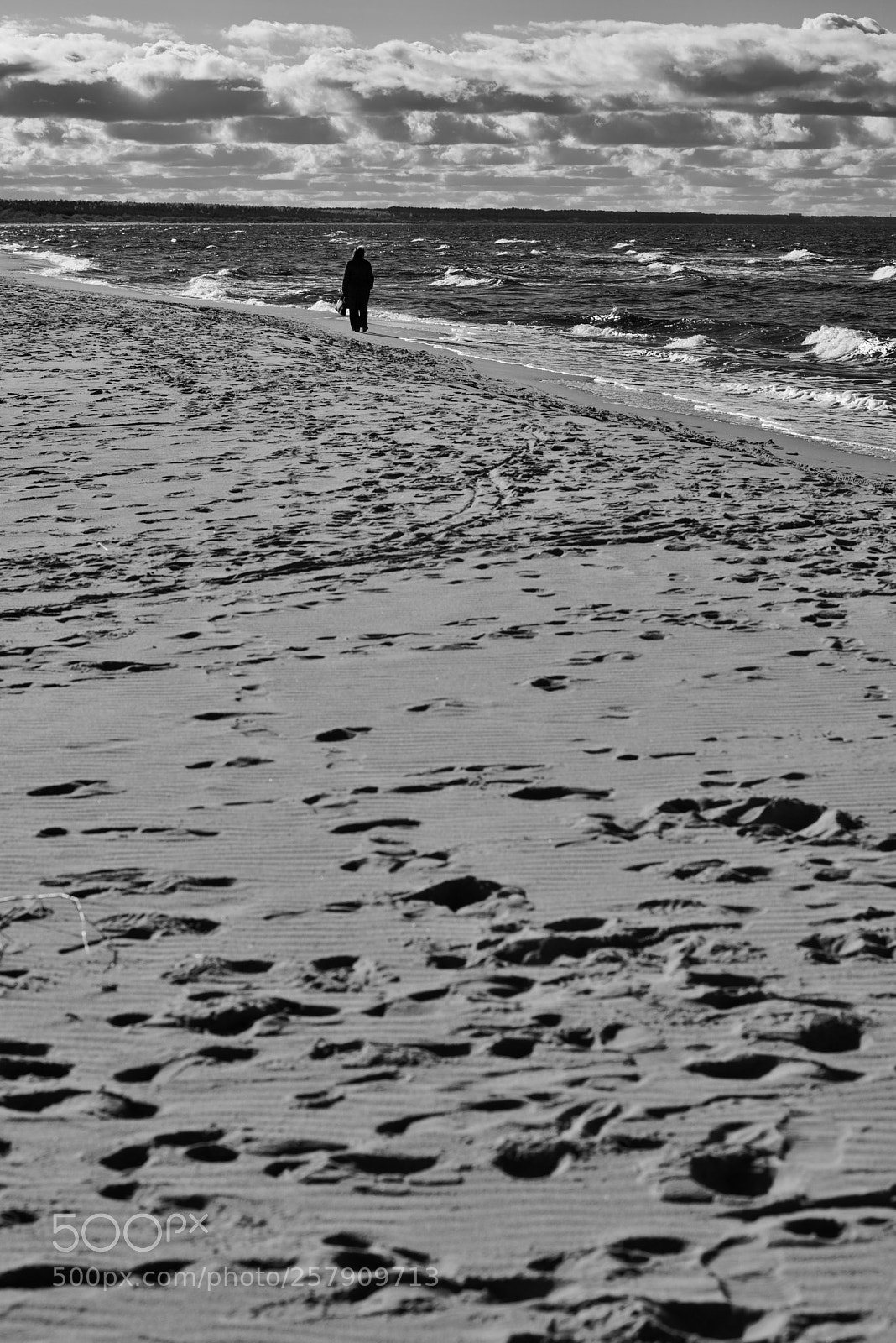 Nikon D810 sample photo. Alone on the beach photography