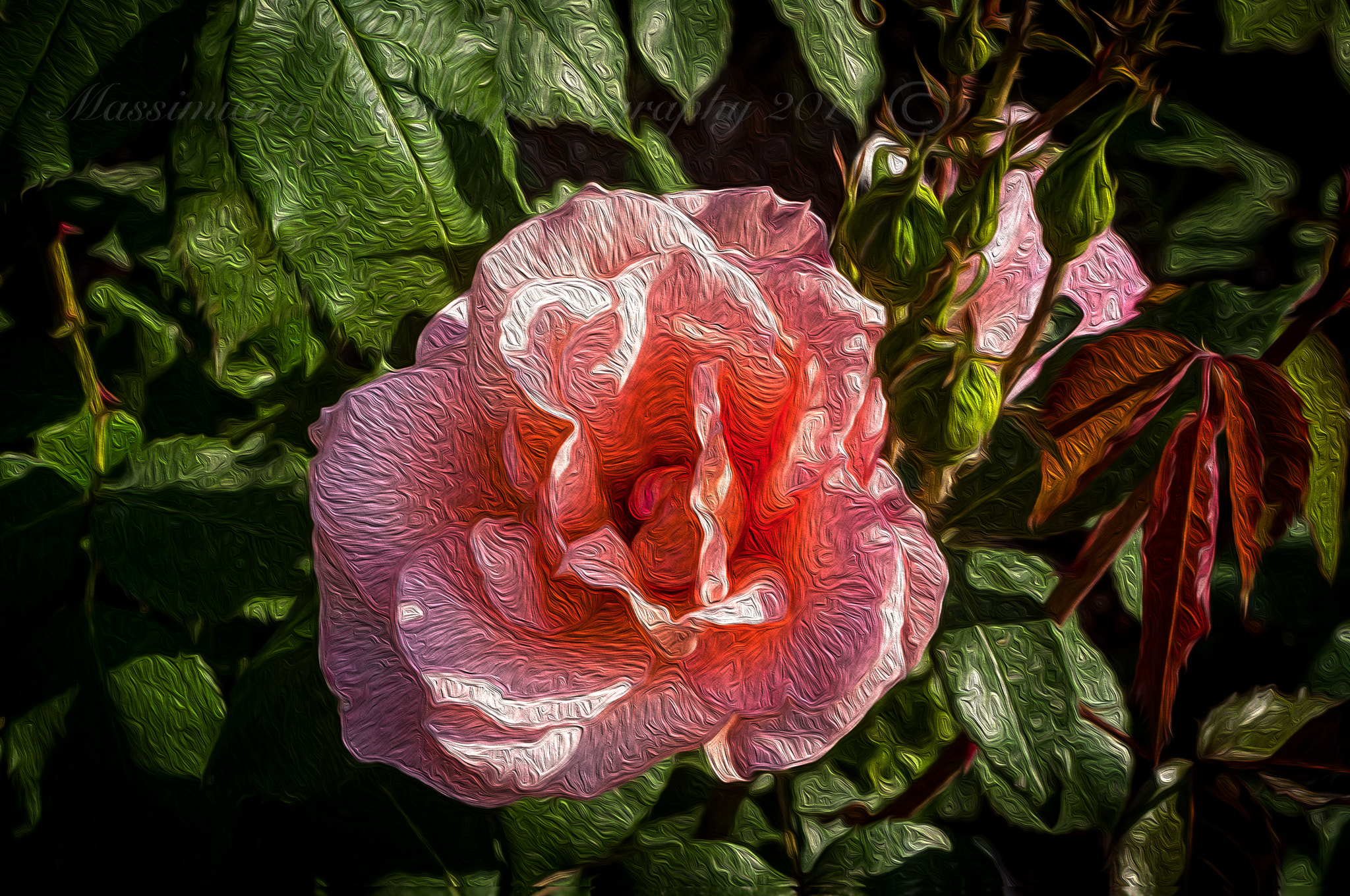 Pentax K20D sample photo. Euroflora rosa rita levi montalcini effetto olio photography
