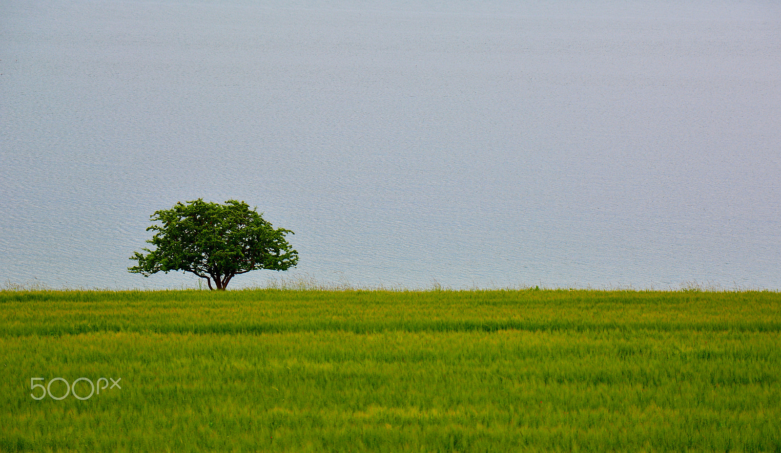 Nikon D7100 + Sigma 17-70mm F2.8-4 DC Macro OS HSM | C sample photo. Alone photography