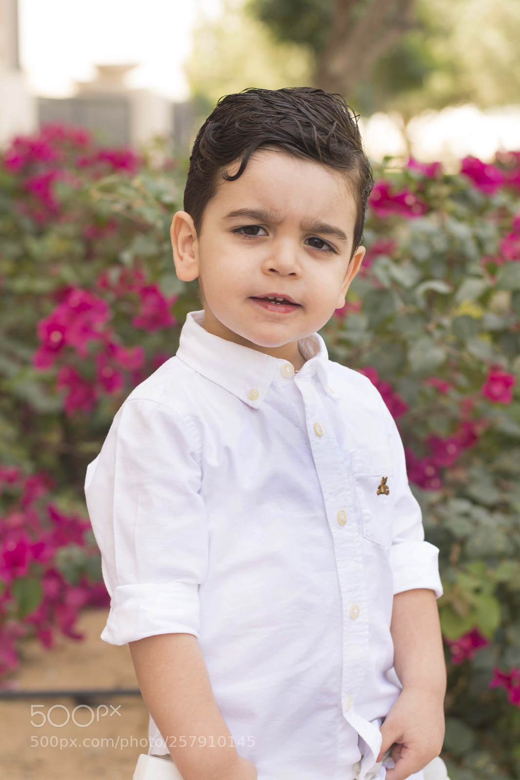 Nikon D7100 sample photo. Proud looking photography