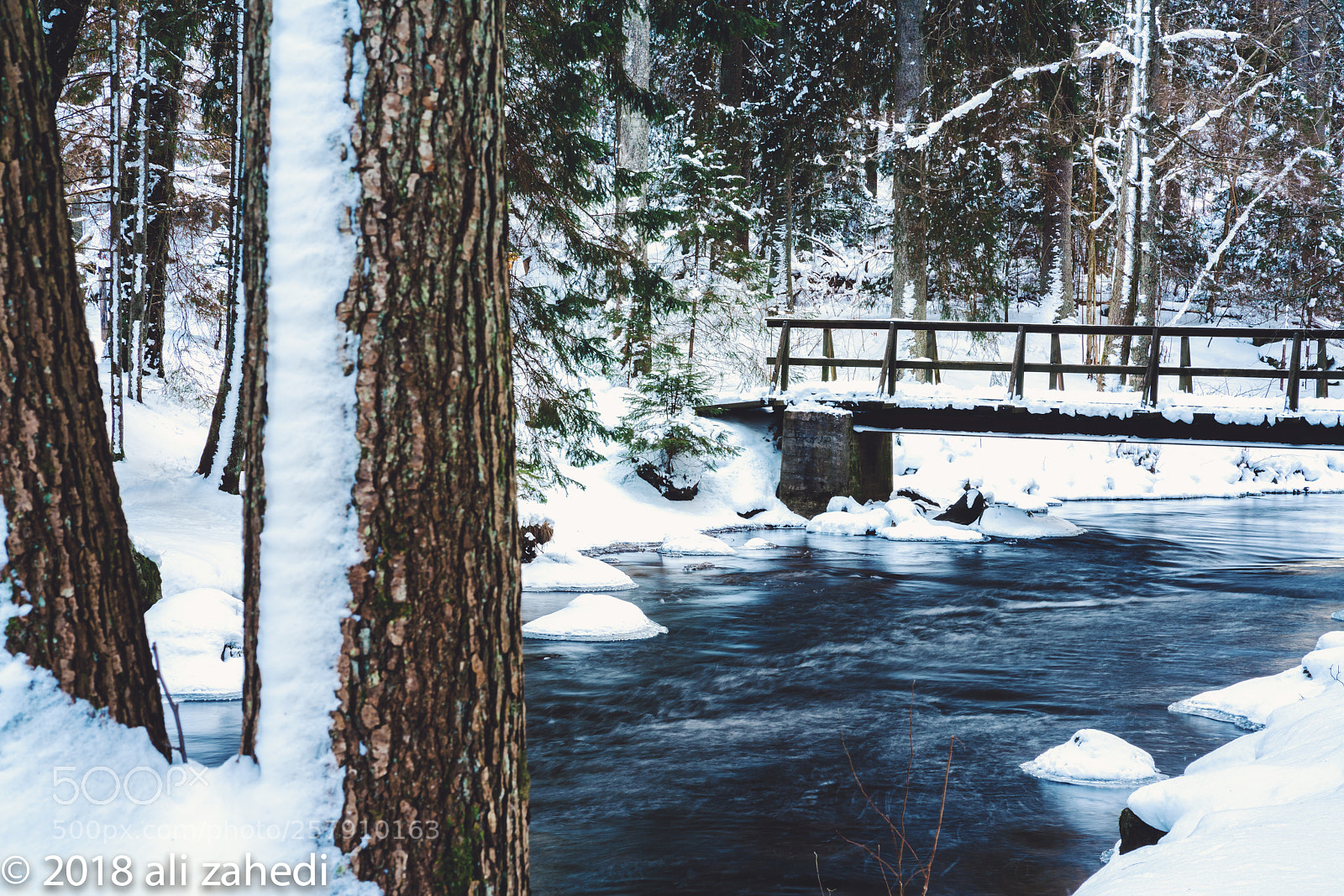 Sony a7R II sample photo. Alby photography