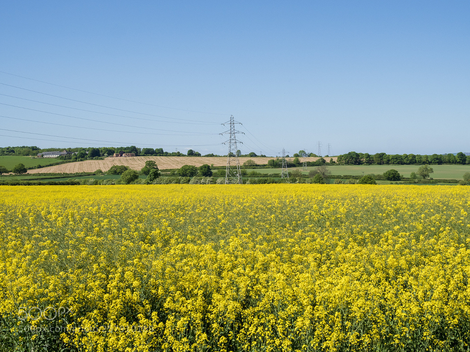 Olympus PEN-F sample photo. Not a cloud in photography