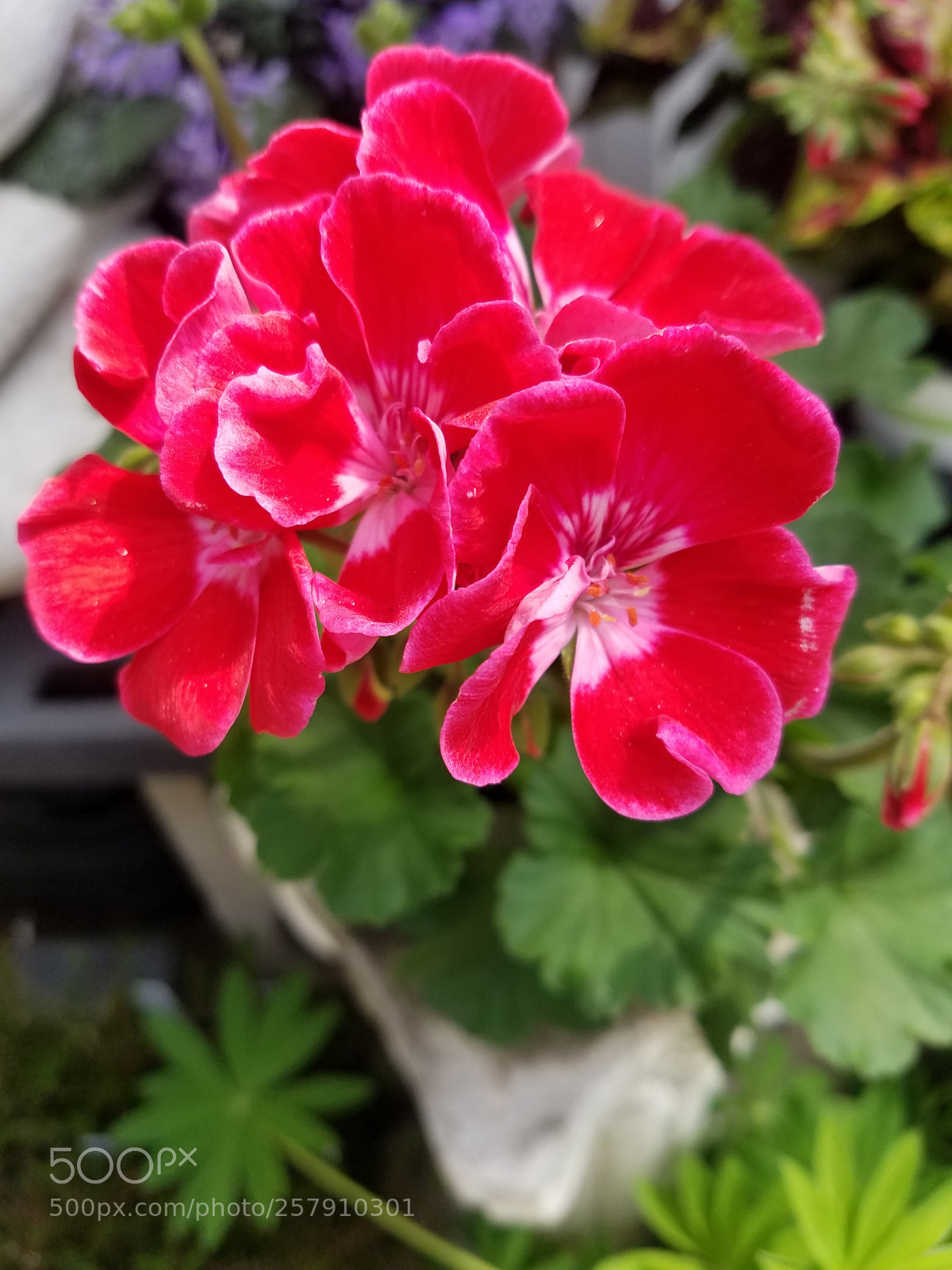 Samsung Galaxy S7 sample photo. Untitled photography
