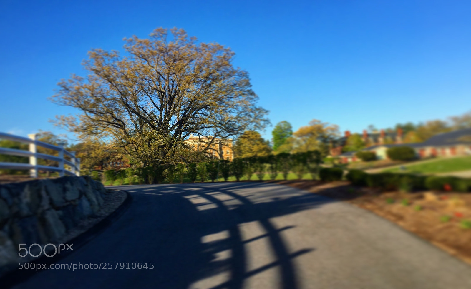 Apple iPhone 6s sample photo. Untitled photography