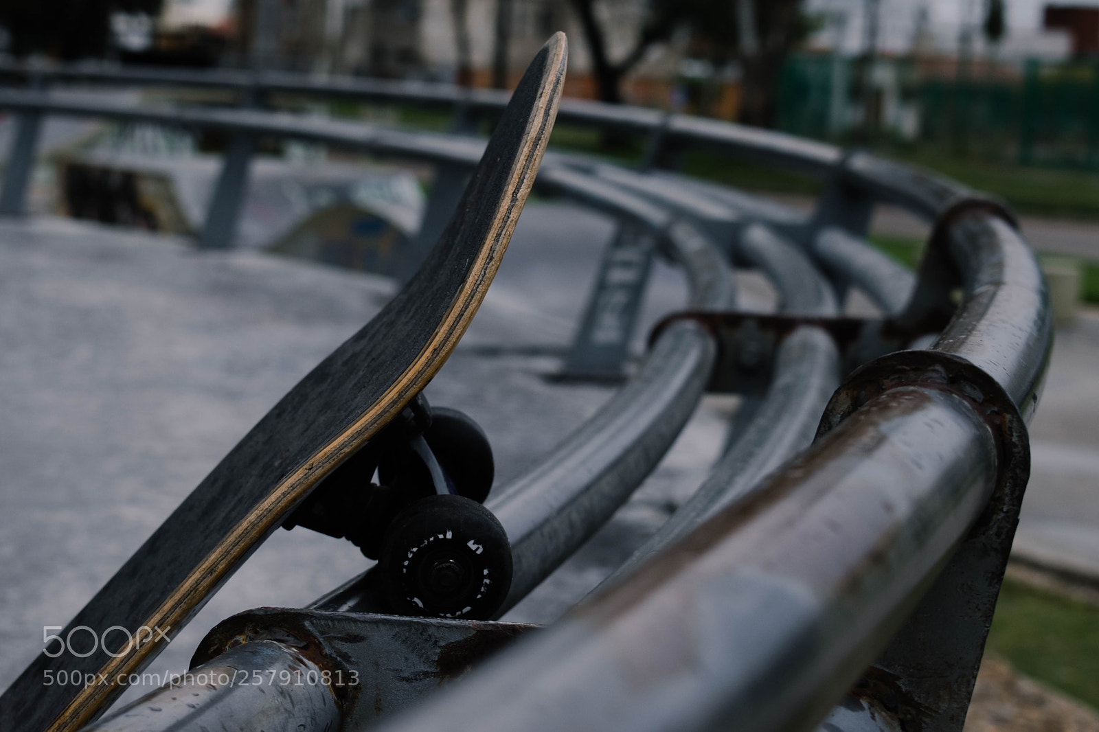Nikon D5600 sample photo. Skate photography