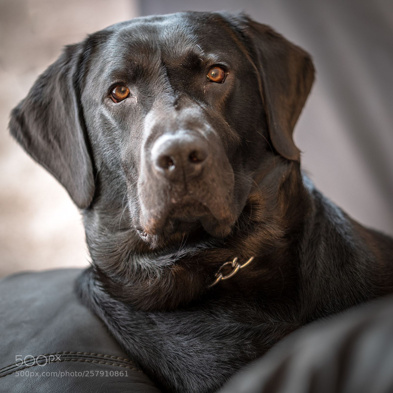 Nikon D850 sample photo. Nap is over, time photography