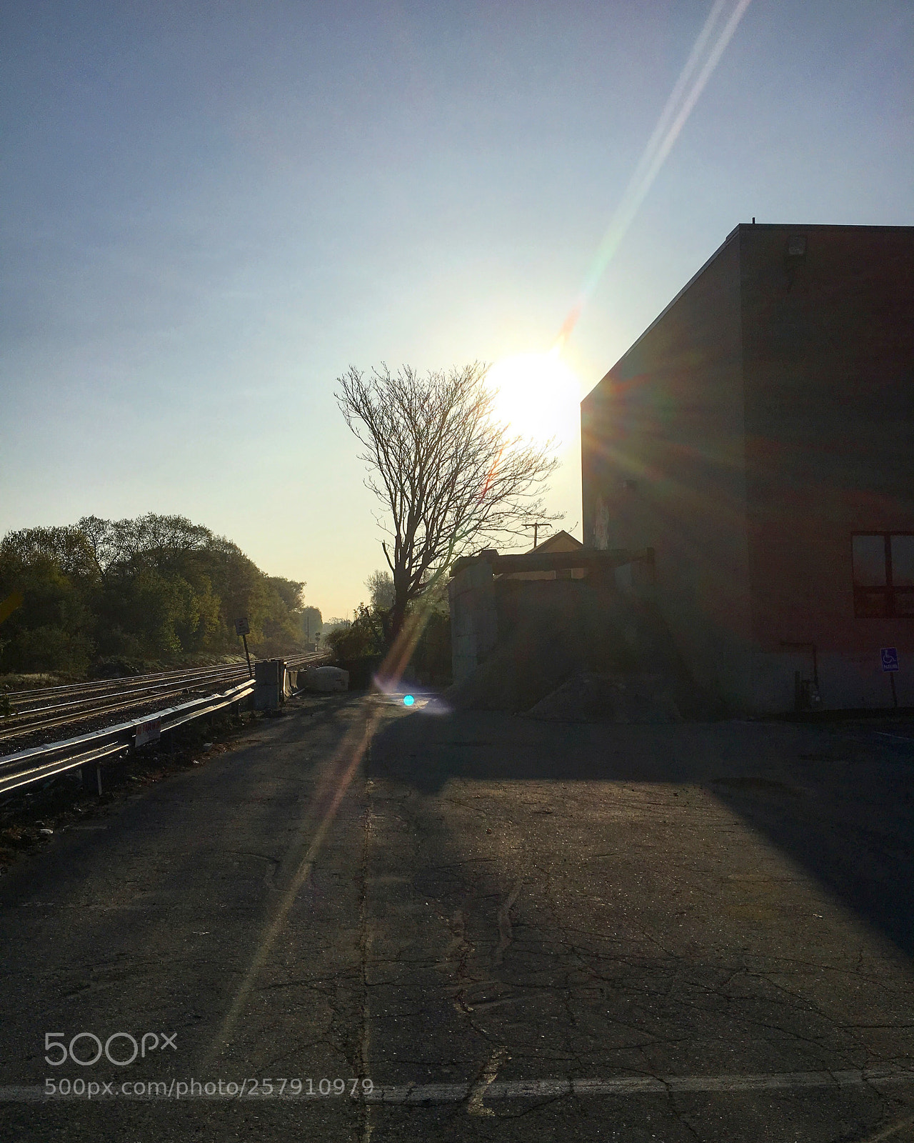 Apple iPhone 6s sample photo. Untitled photography