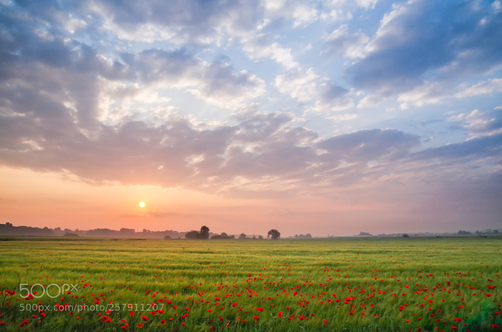 Pentax K-50 sample photo. Lovely morning photography