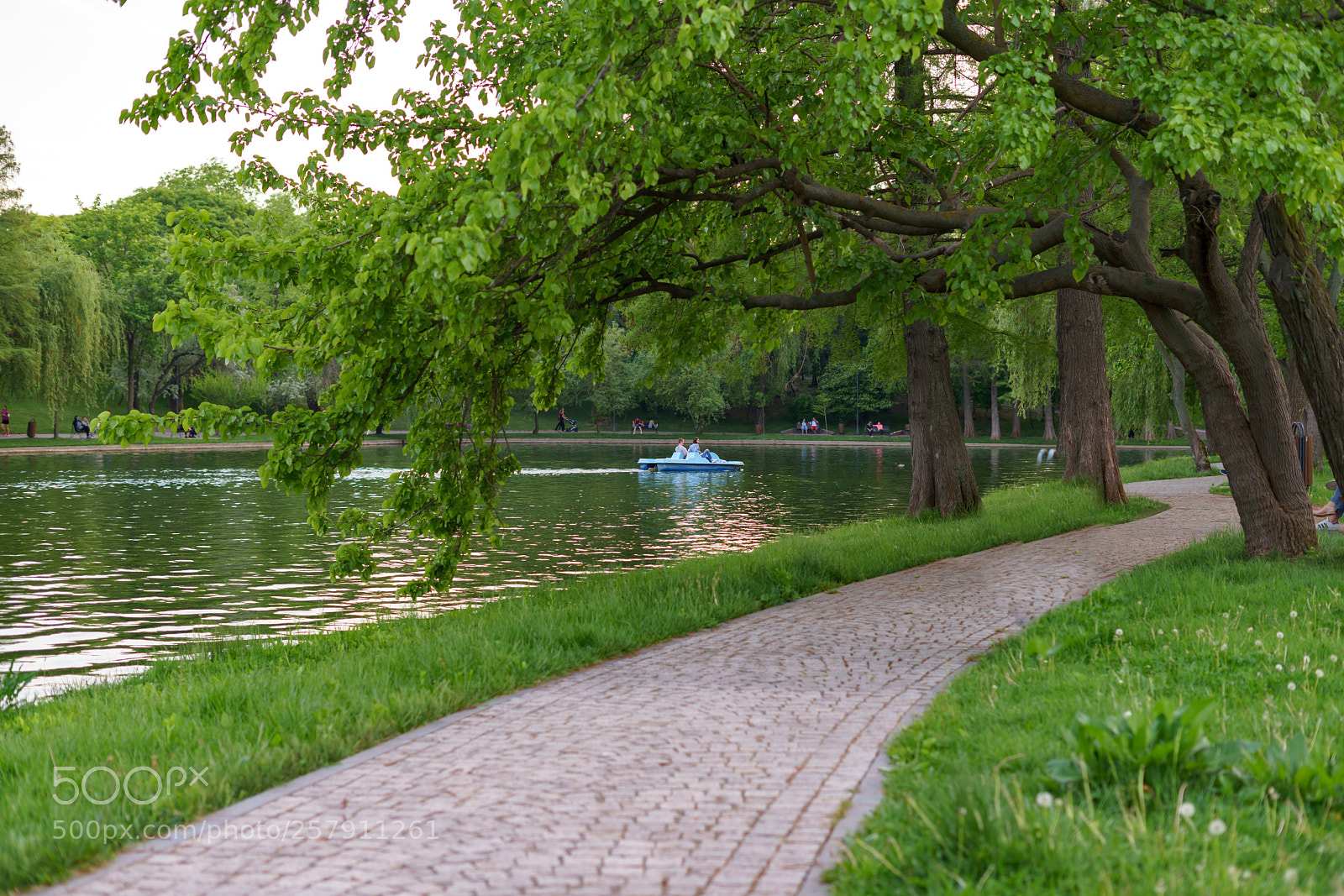Sony a7 II sample photo. Dsc photography