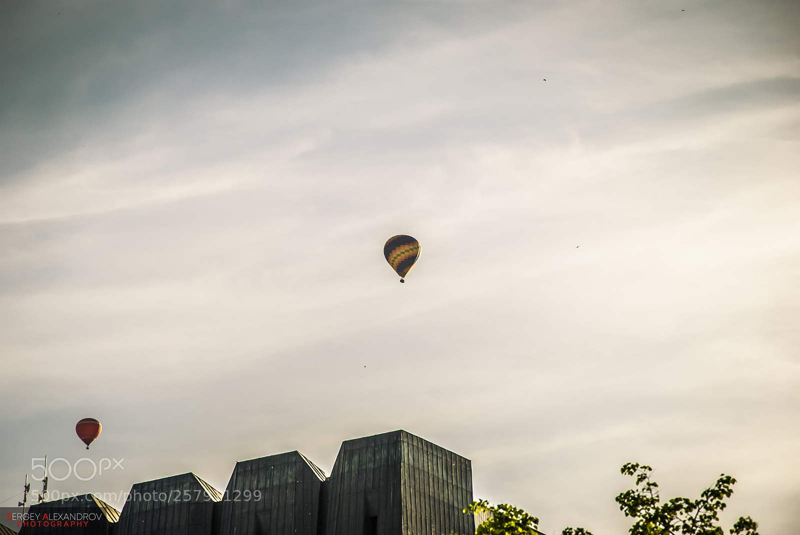 Nikon D80 sample photo. Hot air balloon on photography