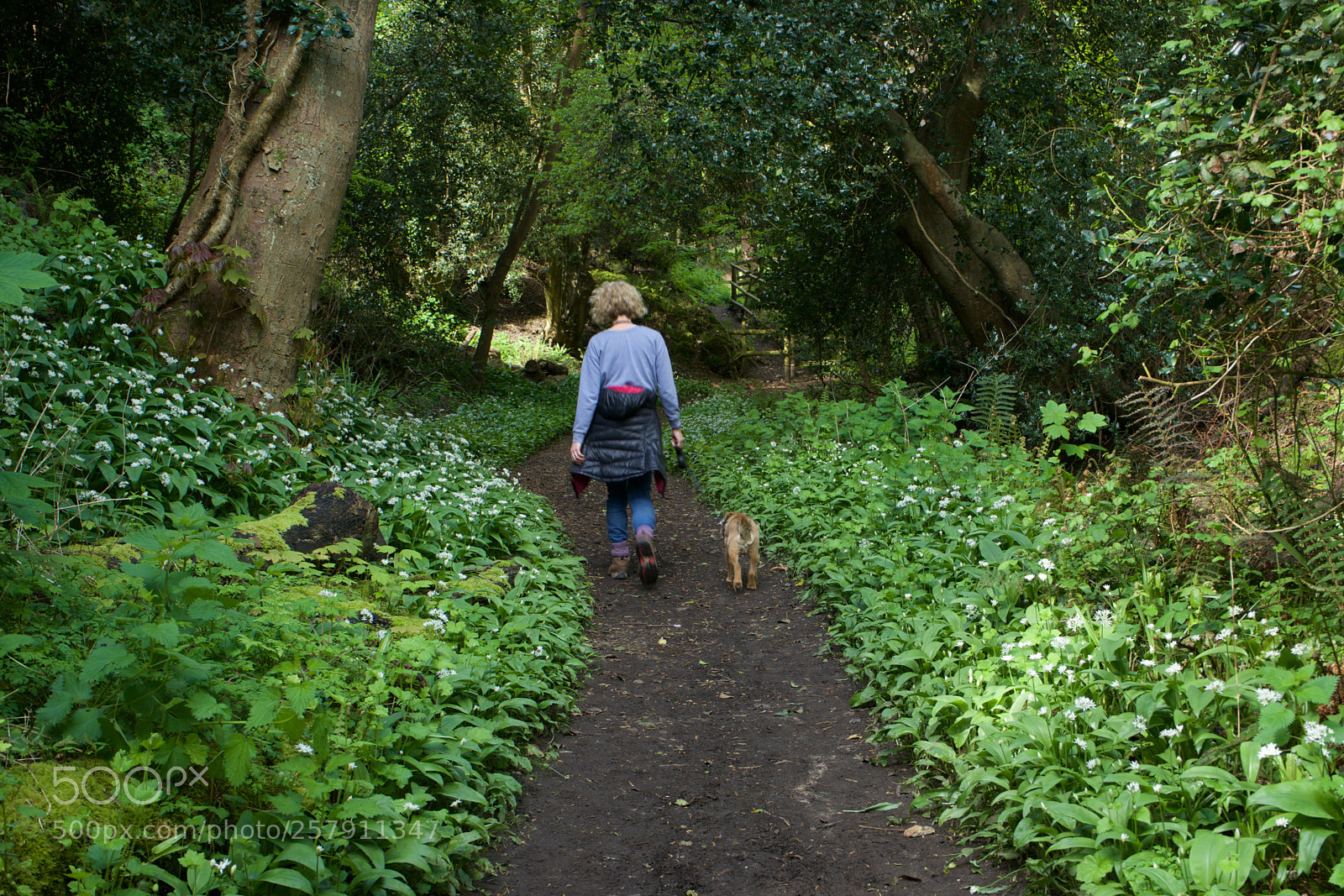 Sony a7 sample photo. Garlic walk photography