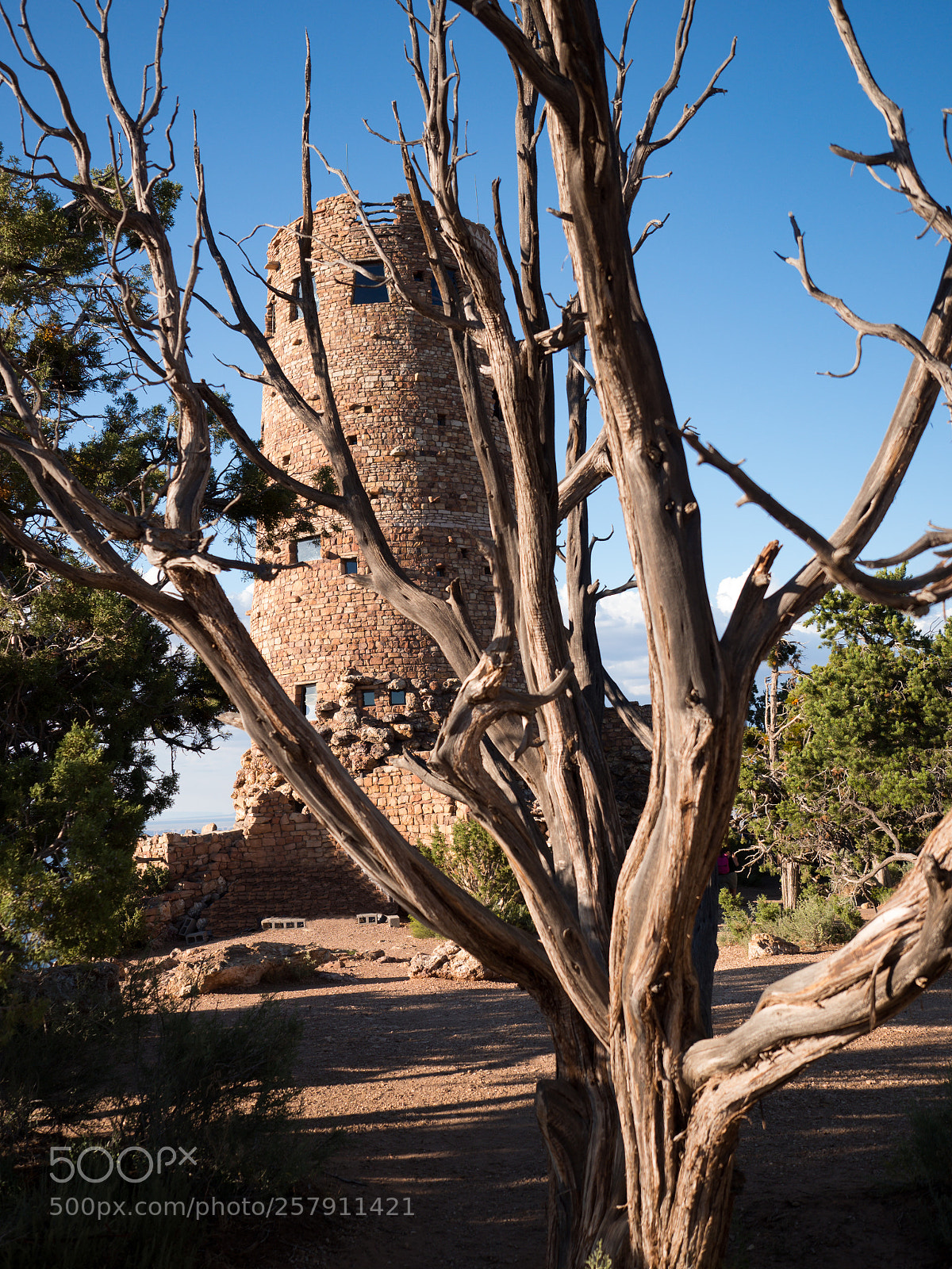 Olympus OM-D E-M10 II sample photo. Desert view watchtower photography