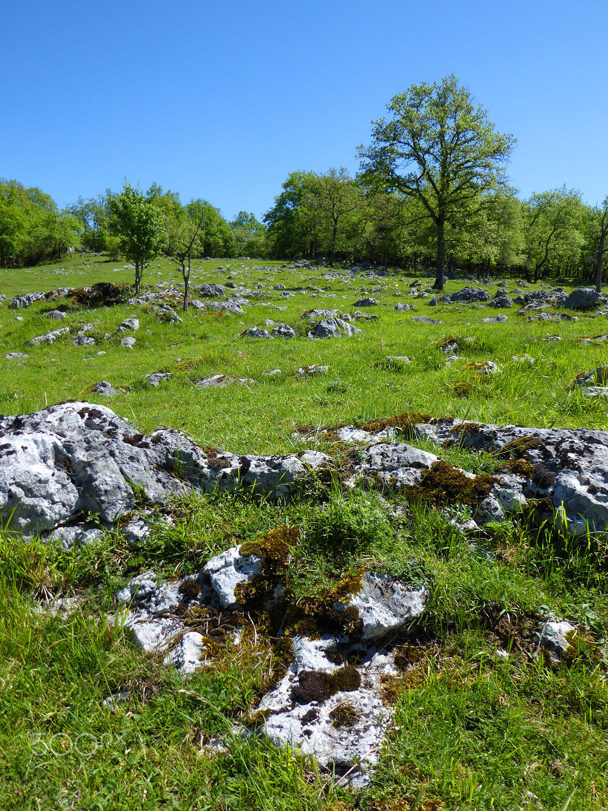 Panasonic Lumix DMC-ZS50 (Lumix DMC-TZ70) sample photo. Rocky field photography