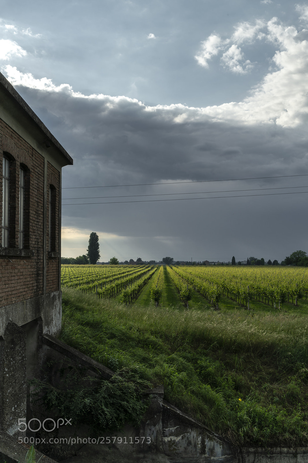 Sony a7R II sample photo. Storm photography