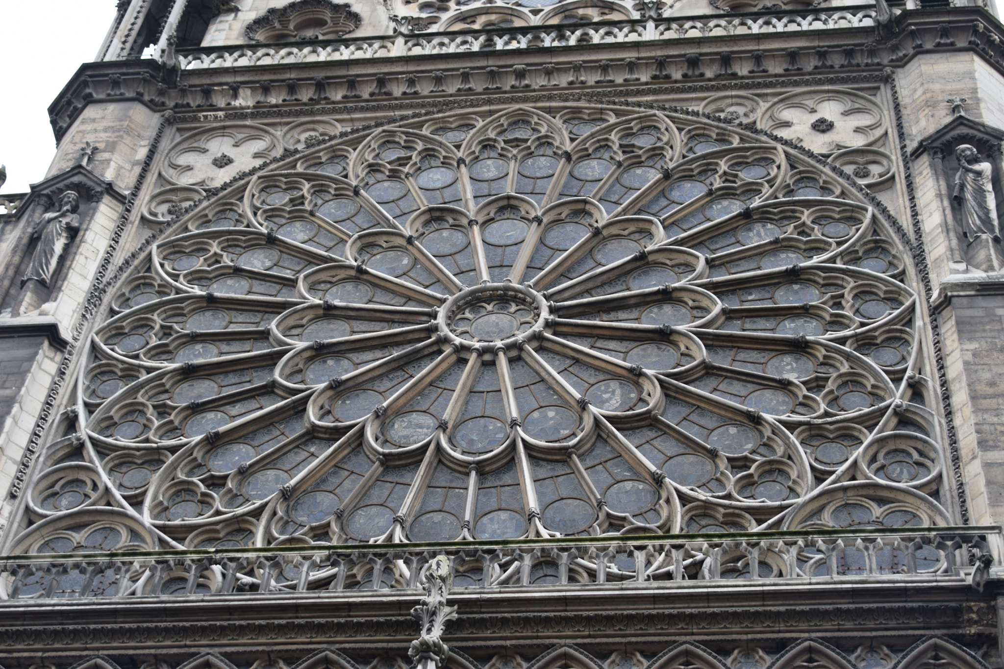 Nikon D3300 sample photo. Rosetón de notre dame photography
