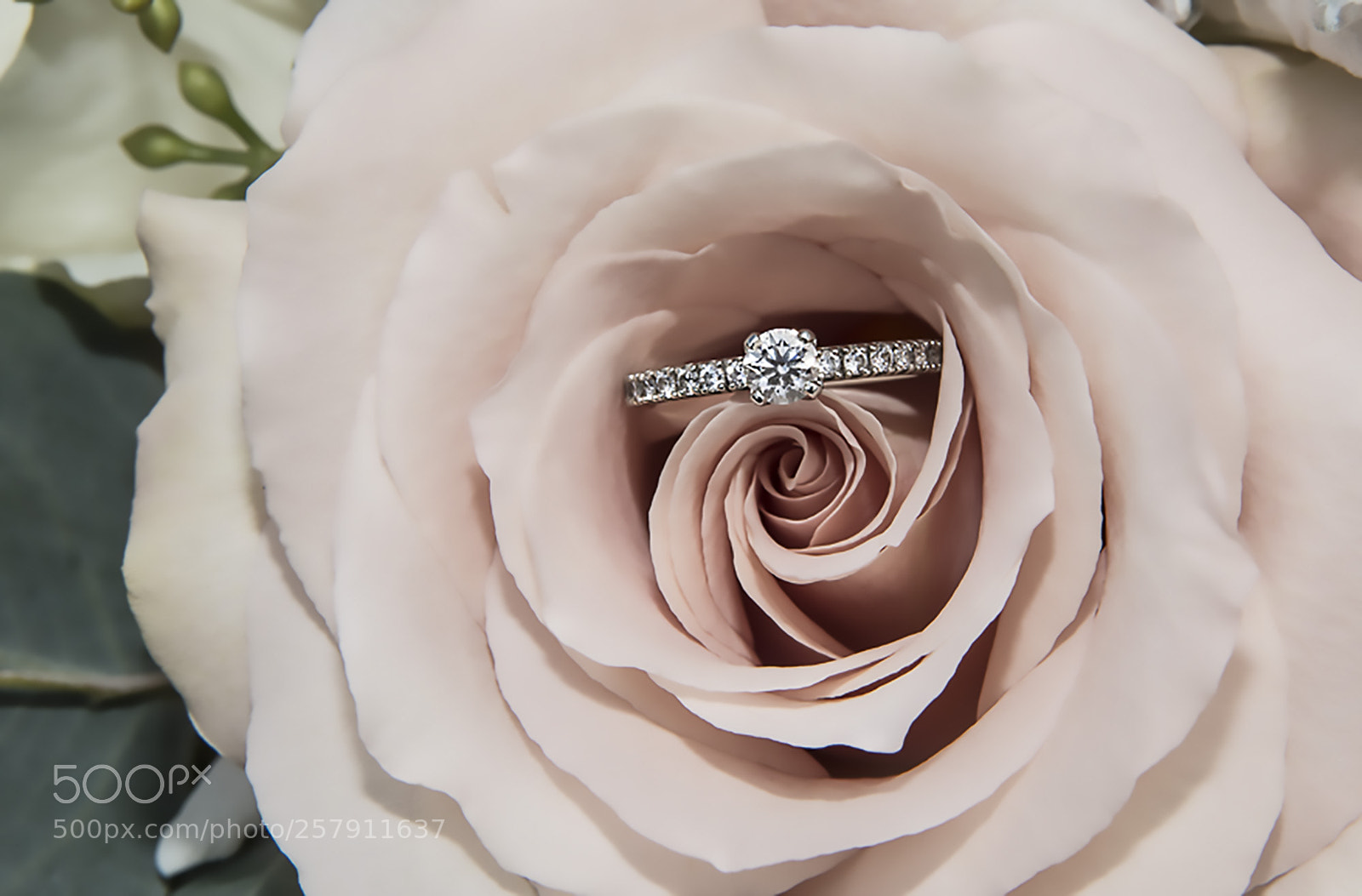 Canon EOS 70D sample photo. Weddings photography