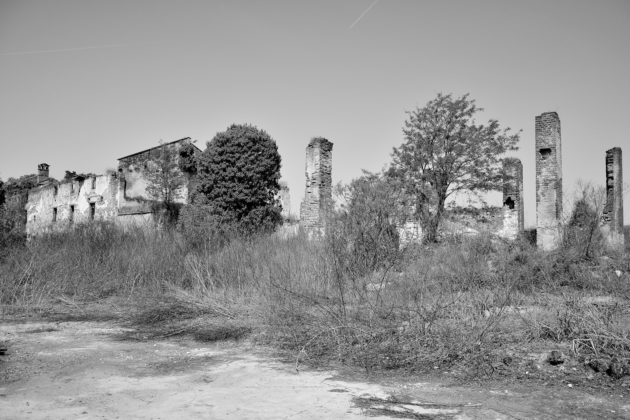 Nikon D5200 sample photo. Bianco e nero photography