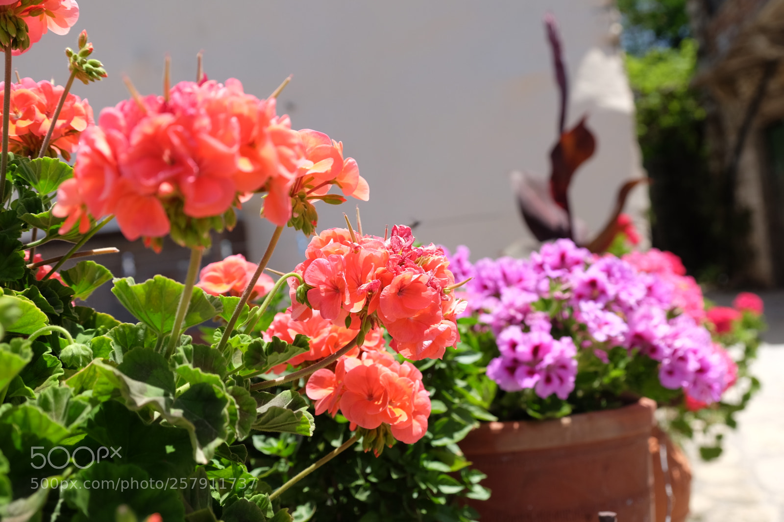 Fujifilm X-T1 sample photo. Crete 2016 photography