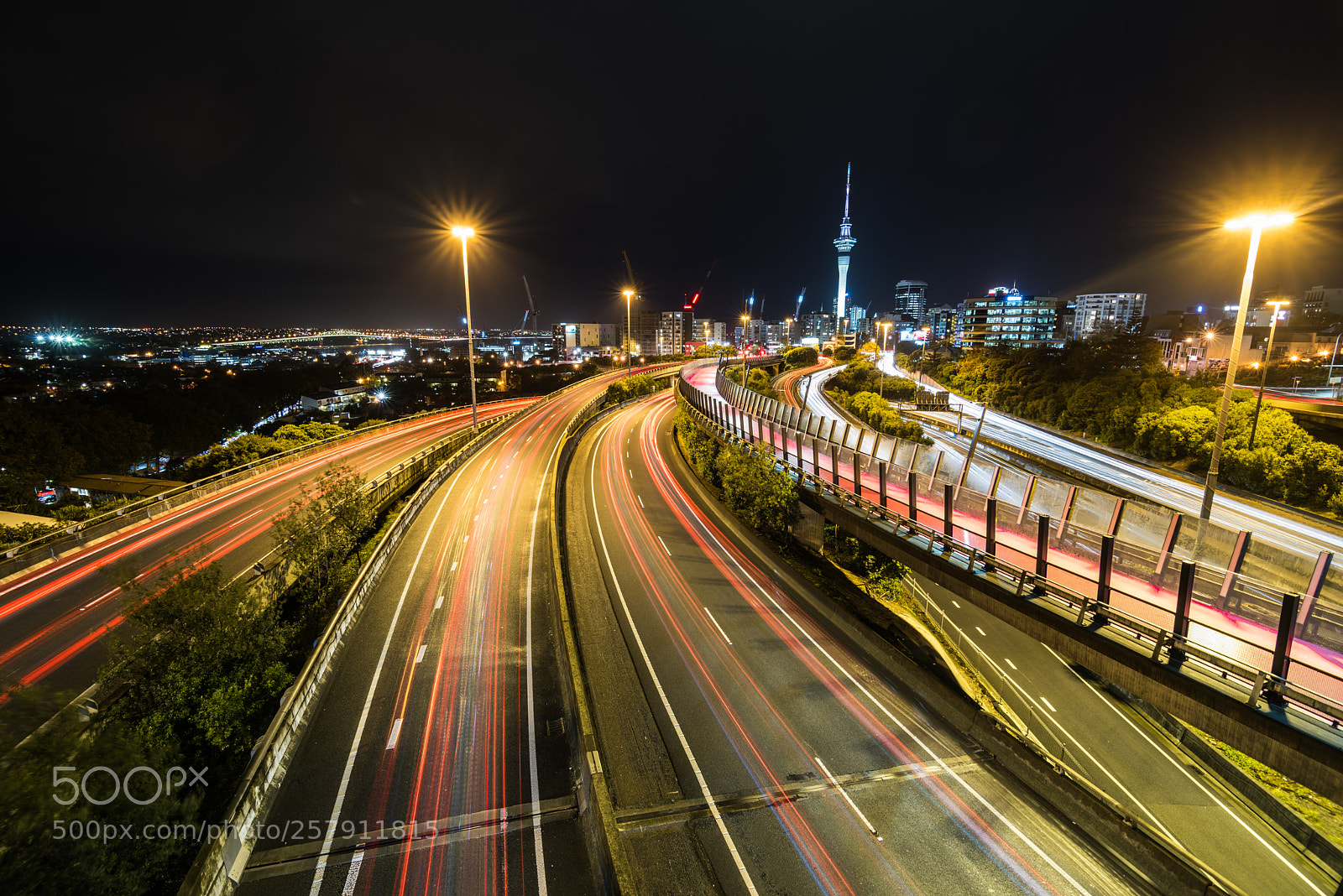 Nikon D810 sample photo. Intertwining photography