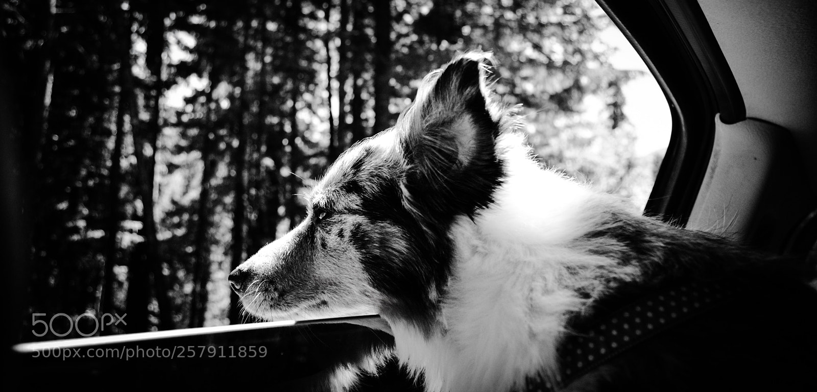 Nikon D5200 sample photo. Relax photography