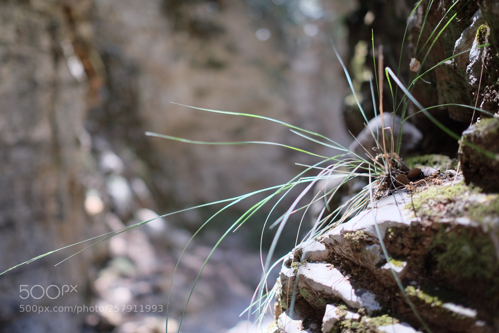 Fujifilm X-T1 sample photo. Crete 2016 photography