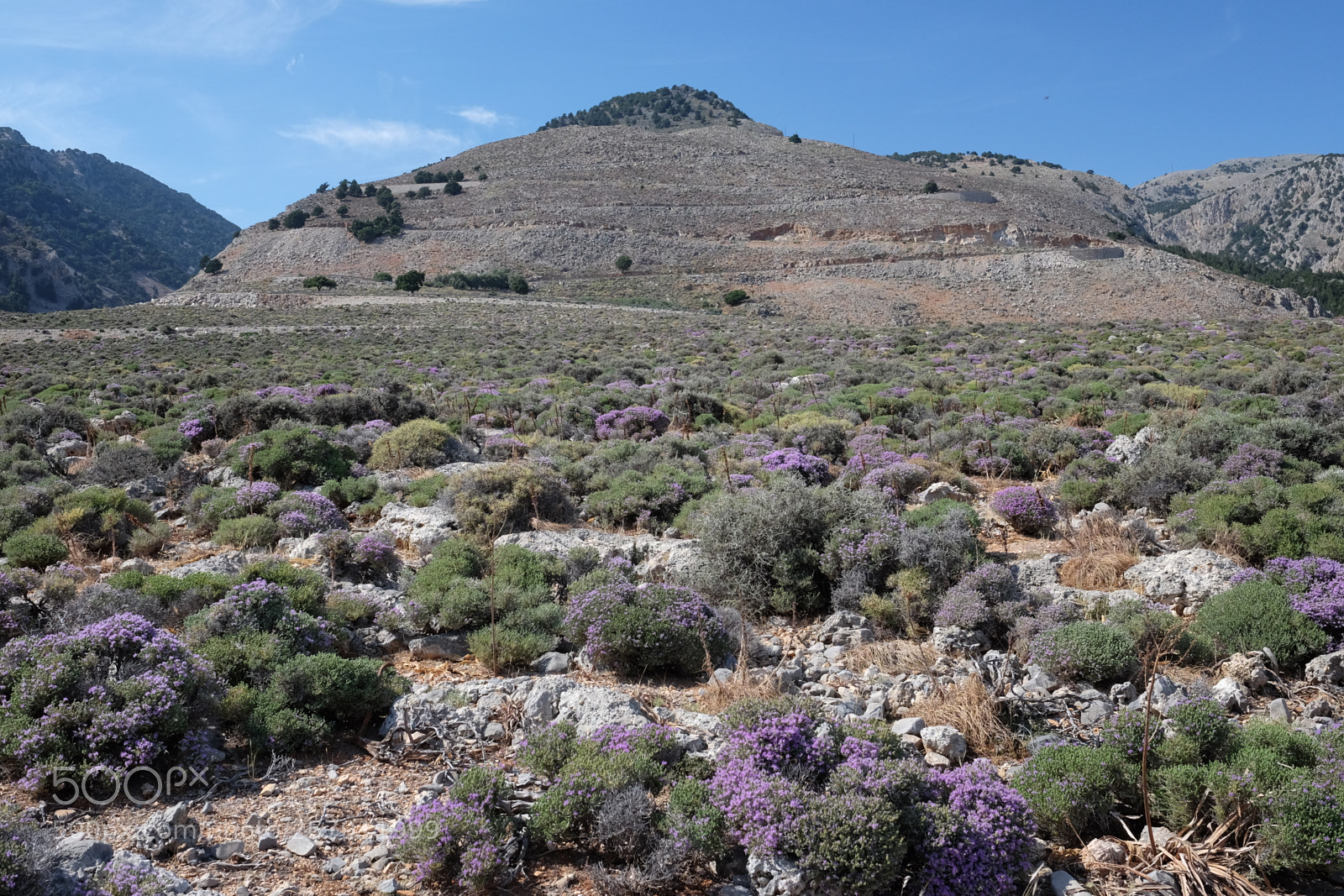 Fujifilm X-T1 sample photo. Crete 2016 photography