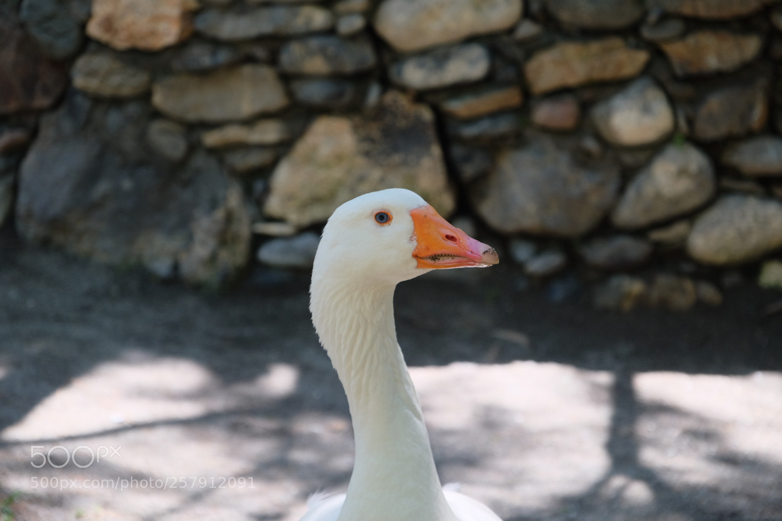 Fujifilm X-T1 sample photo. Crete 2016 photography