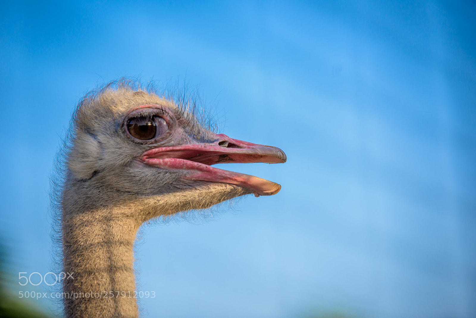 Nikon D810 sample photo. Ugly photography