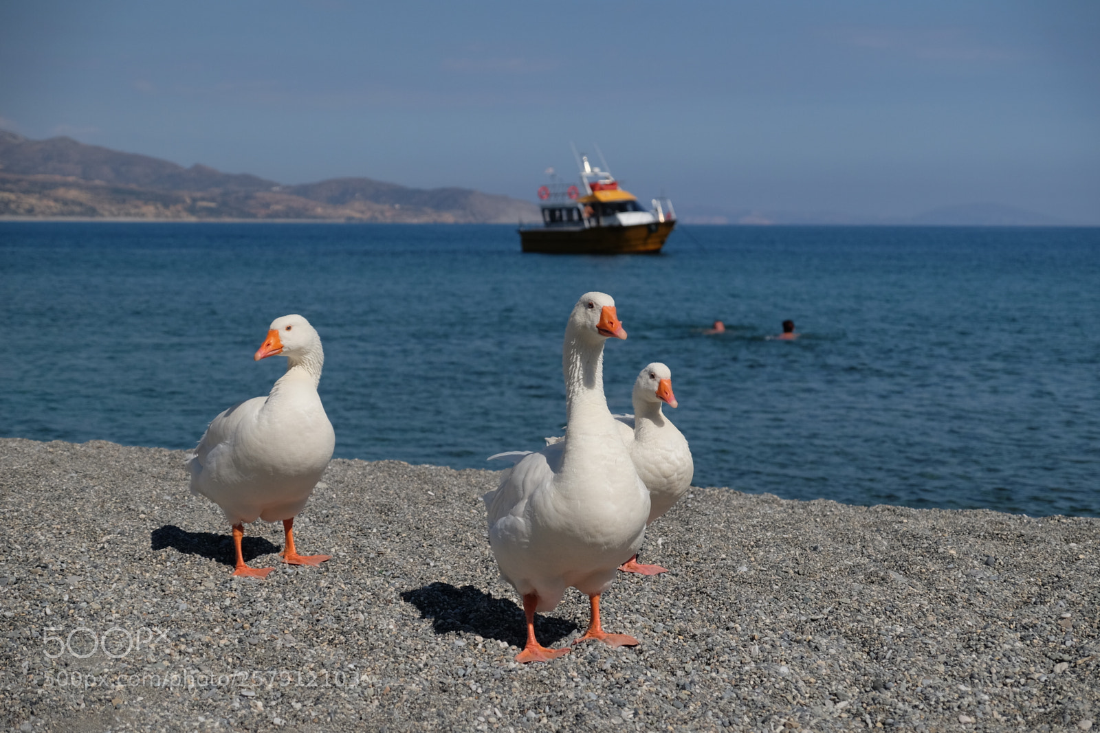 Fujifilm X-T1 sample photo. Crete 2016 photography