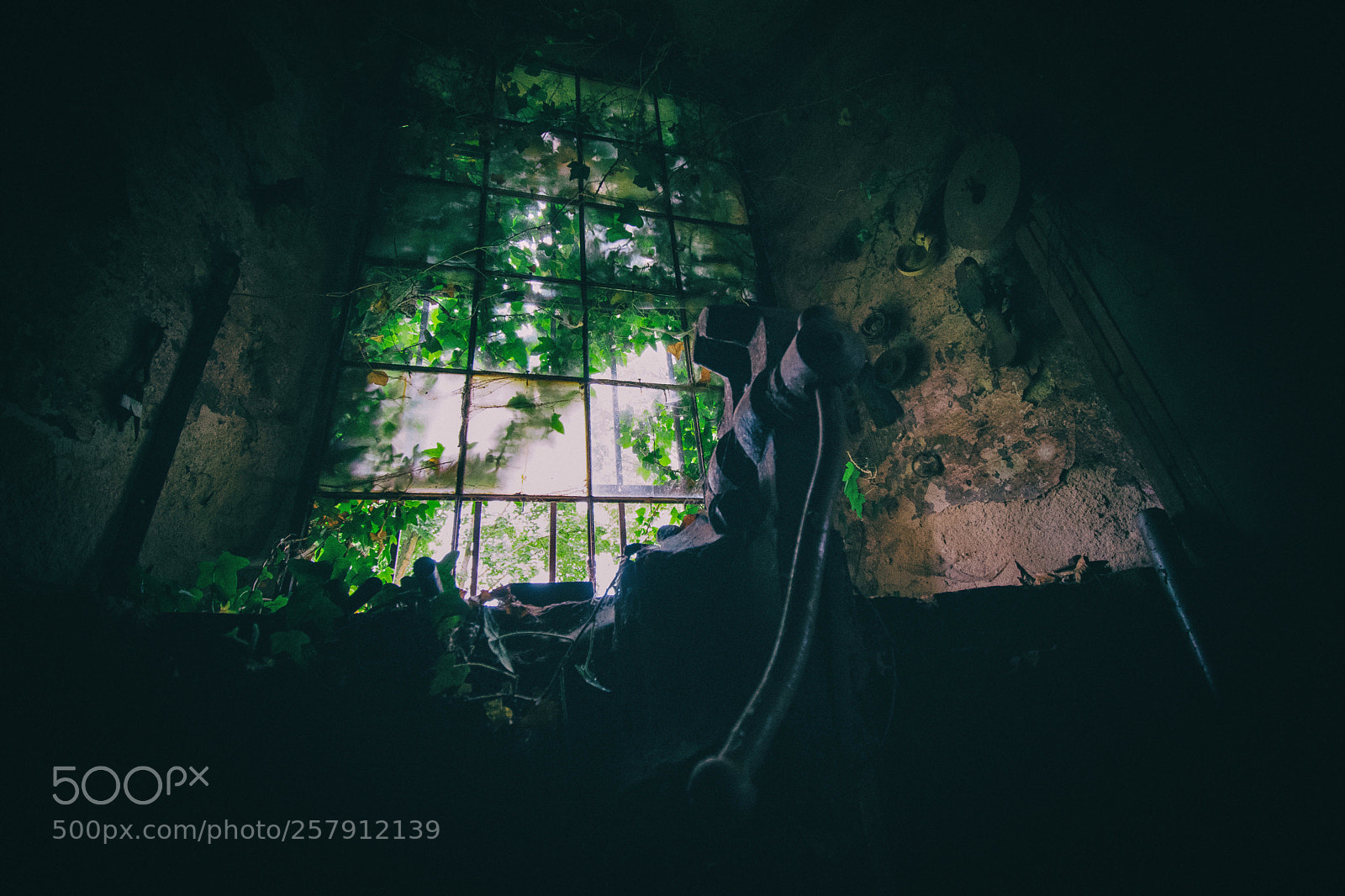 Nikon D5500 sample photo. Room with a view photography