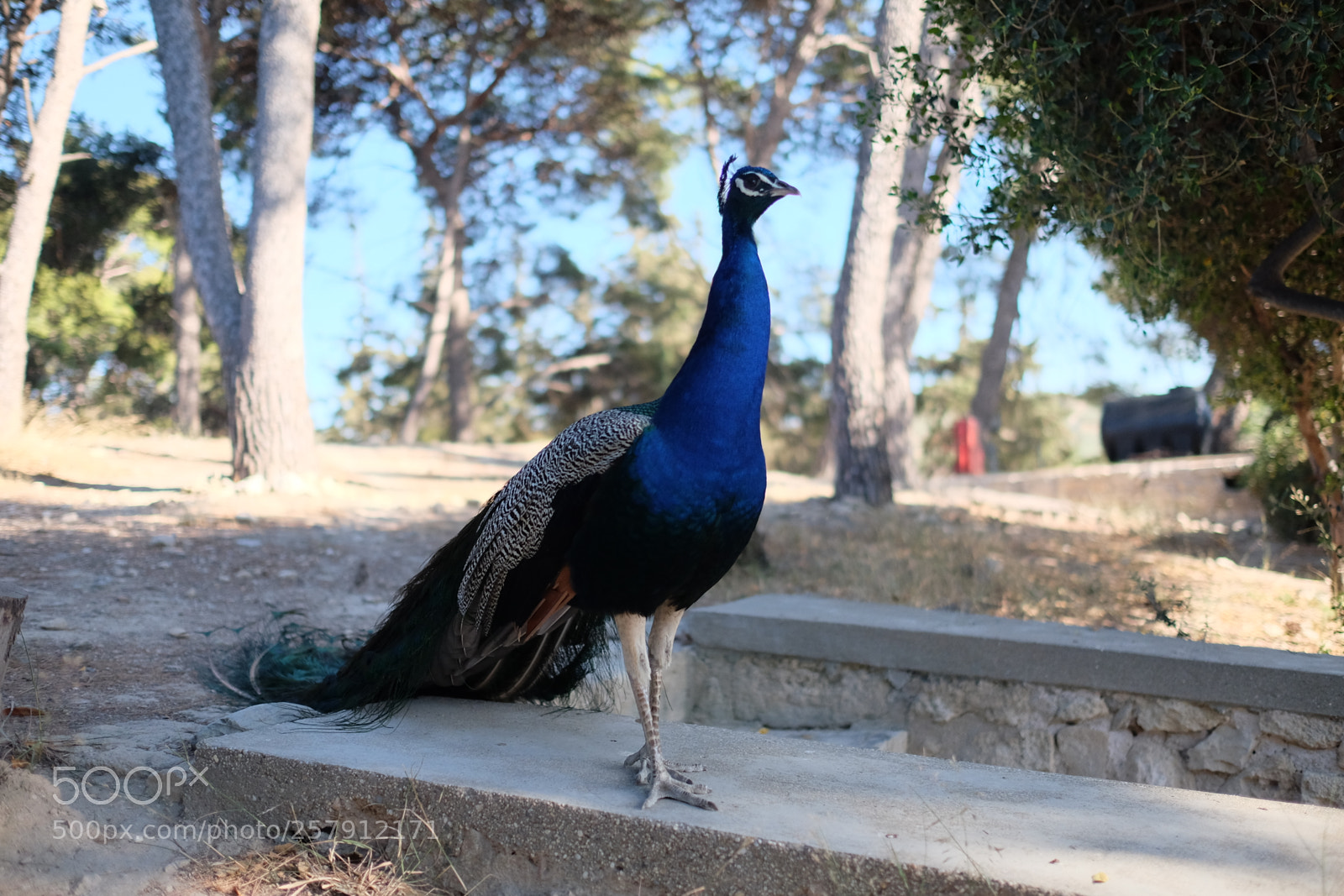 Fujifilm X-T1 sample photo. Crete 2016 photography