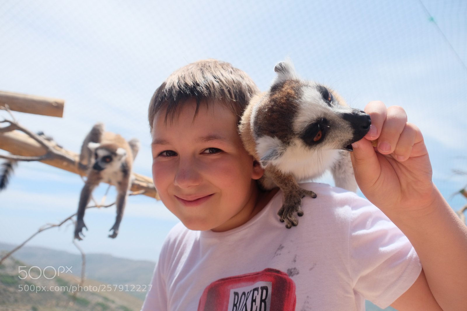 Fujifilm X-T1 sample photo. Crete 2016 photography