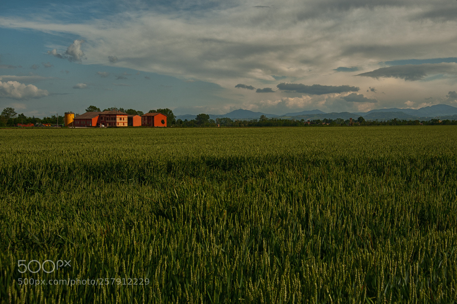 Nikon D700 sample photo. Natural capital photography