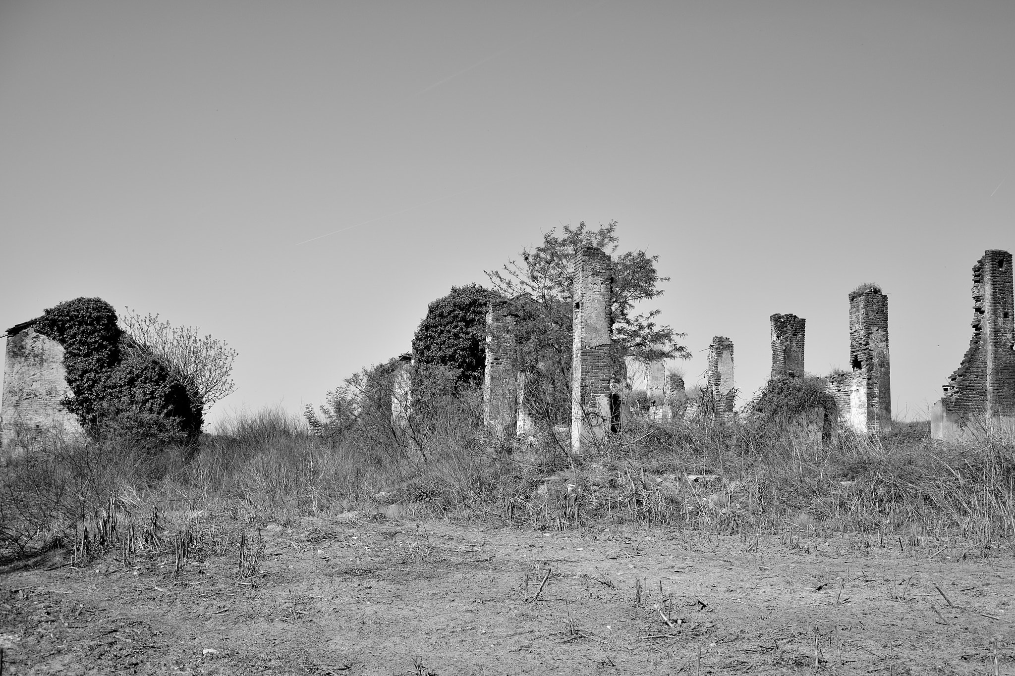 Nikon D5200 sample photo. B n photography