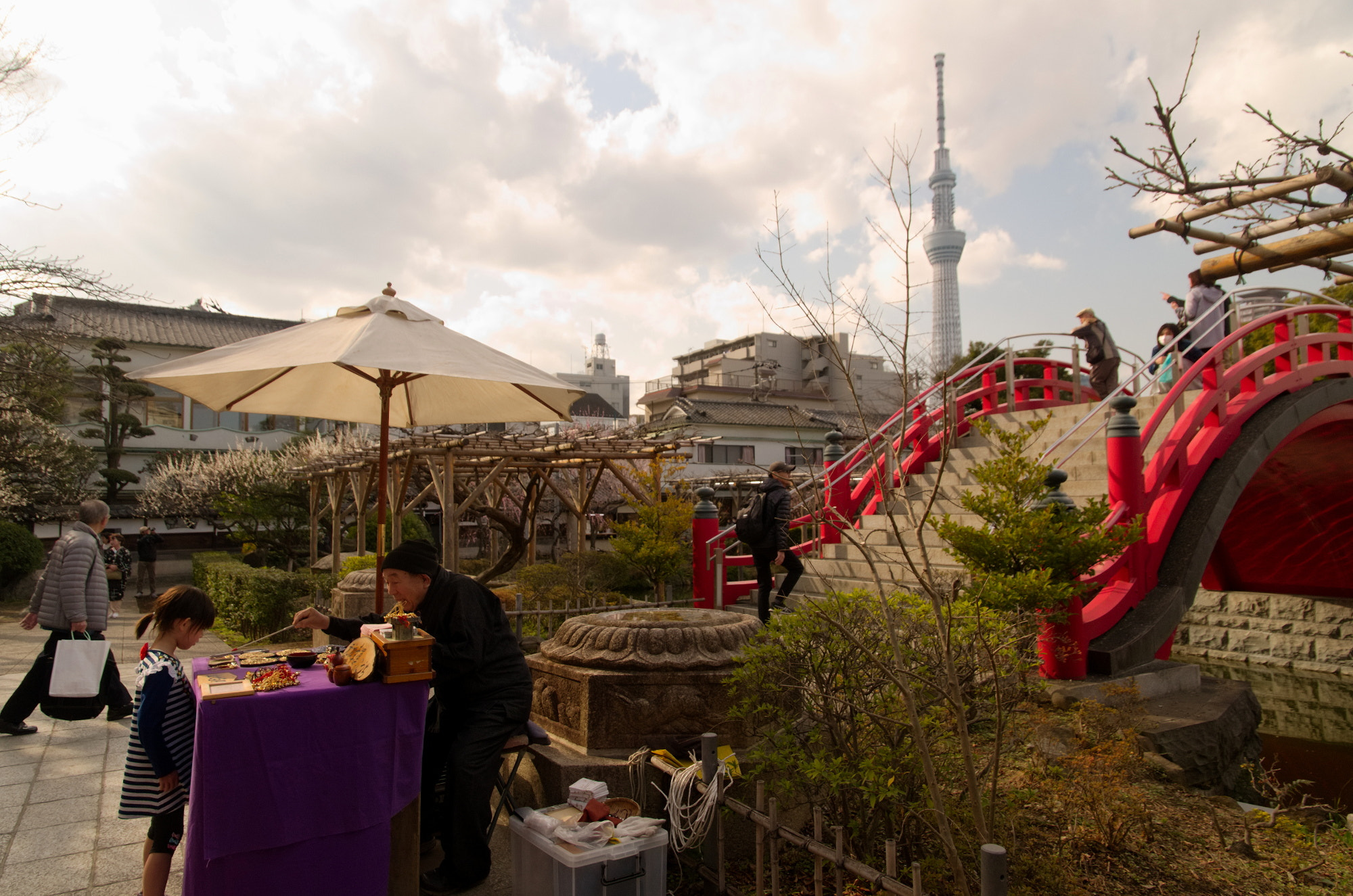 Nikon D7000 sample photo. Kameido tenjin shrine photography