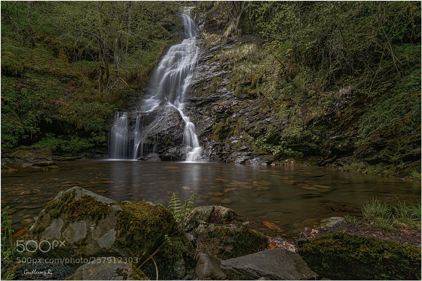 Sony a7 II sample photo. A seara photography