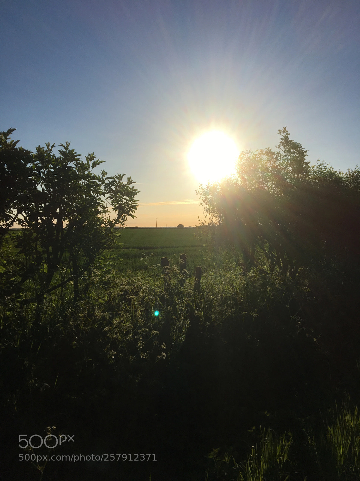 Apple iPhone 6s sample photo. Morning walk photography